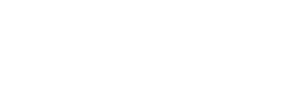 Vice Armory logo