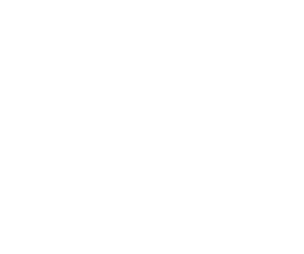 Gallenson's Guns and Ammo logo