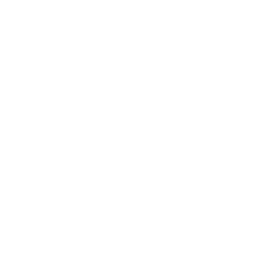 Virginia Citizens Armory logo