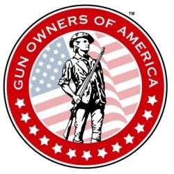 GS Custom Guns & Ammo logo