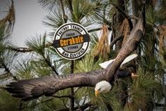 Eagle Gunworks & Finishing logo