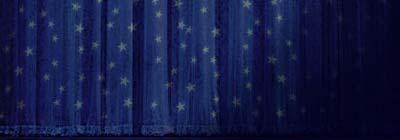 Florida Firearms logo