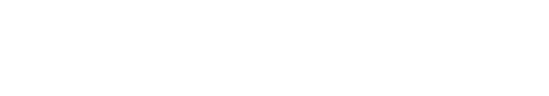 Coliseum Gun Traders Ltd logo