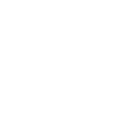 AMERICAN GUNS AND AMMO logo