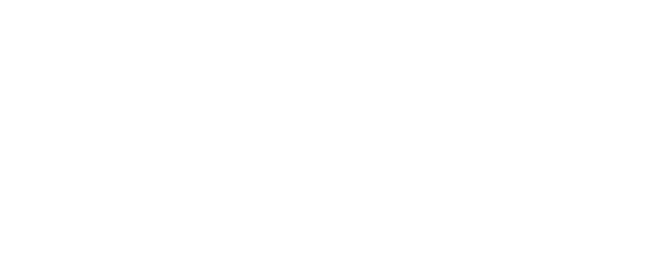 Louisiana Firearms logo