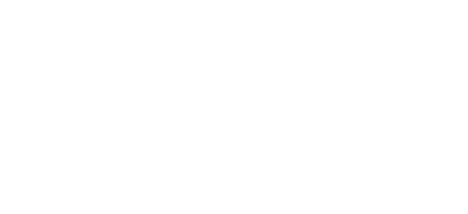 Tactical Edge Gun Shop & CPL Classes logo