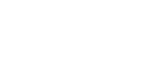 Capital Sports logo